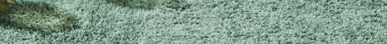 Moquette, Soldirect, Lausanne