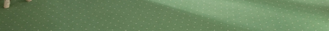 Moquette Velours, Soldirect, Lausanne